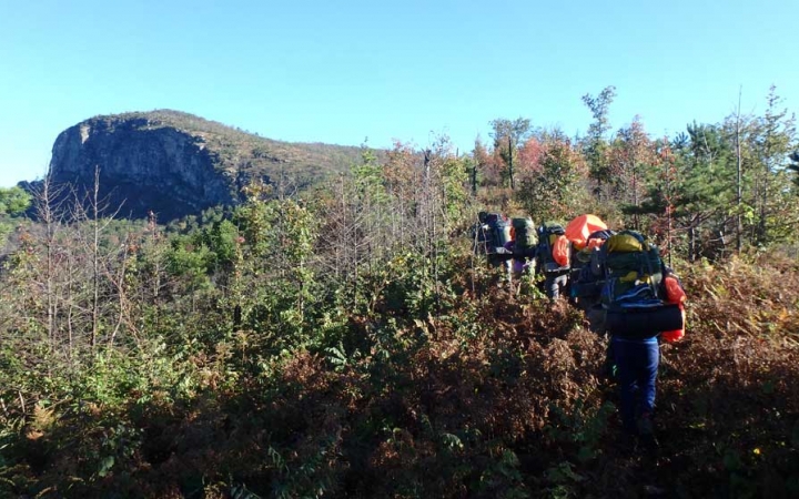 A group of people wearing backpacks hike away from the camera through green shrubs toward a rock formation in the background.